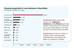 Versele Champion Plus IC+ Black Label, 20kg -Tierbedarf Rabatte antioxidantien 113