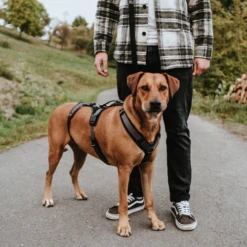 Hunter Sicherheitsgeschirr Maldon -Tierbedarf Rabatte hunter veiligheidsharnas maldon 221547 0500 none