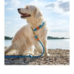 Hunter Verstellbare Führleine Oss -Tierbedarf Rabatte hunter verstelbare riem oss 116580 0500 none