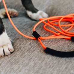 Kentucky Dogwear Schleppleine Soft Rubber -Tierbedarf Rabatte kentucky dogwear sleeplijn soft rubber 219203 0500 none