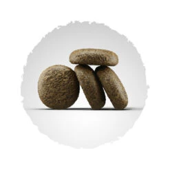 Josera Lachs & Kartoffel 15kg 5 Josera Lachs & Kartoffel 15kg -Tierbedarf Rabatte kroketten lachs and kartoffel