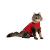 Medical Pet Shirt Katze -Tierbedarf Rabatte medical pet shirt kat 167407 0500 none