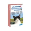 Milbemax Katze -Tierbedarf Rabatte milbemax kat 178492 0500 none