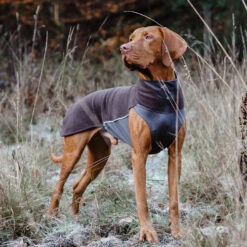 Pomppa Jumppa -Tierbedarf Rabatte pomppa jumppa 190570 0500 none