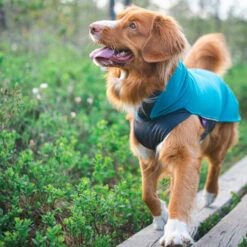 Pomppa Jumppa -Tierbedarf Rabatte pomppa jumppa 190573 0500 none