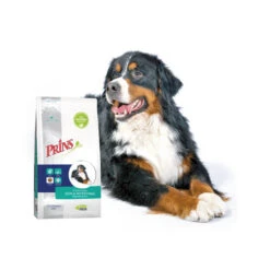 Prins ProCare Croque Skin & Intestinal Hypoallergic -Tierbedarf Rabatte prins procare croque skin intestinal hypoallergic 171451 0500 none