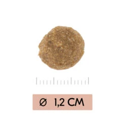 Vetality Gastrointestinal Low Fat - Hundefutter -Tierbedarf Rabatte vetality gastrointestinal low fat hondenvoer 195467 0500 none